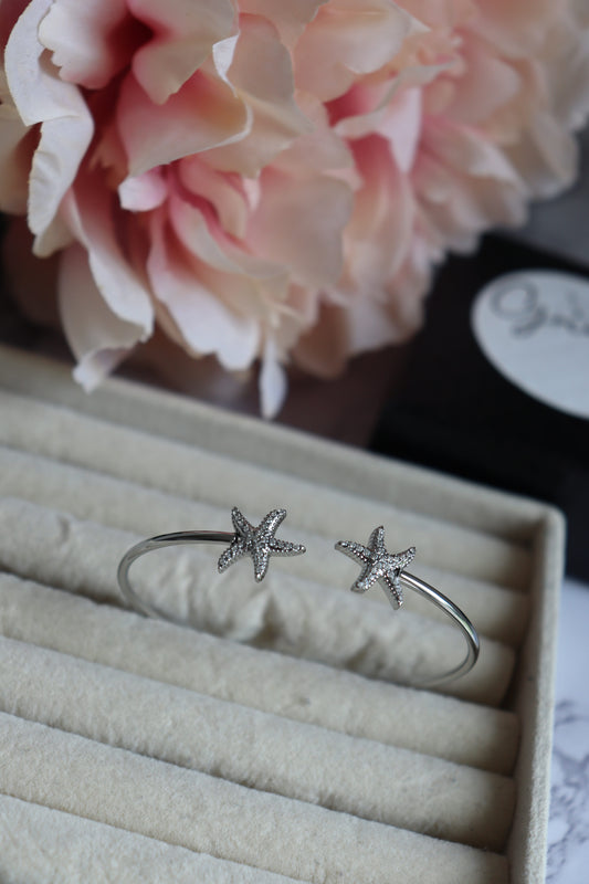 Bracelet Jonc Marine Argenté