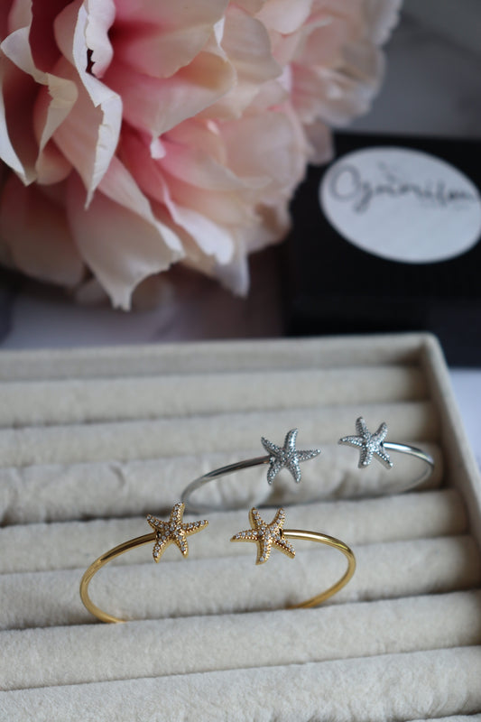 Bracelet Jonc Marine Argenté